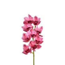 Haste Orquidea Real Toque Cymbidium 3d Rosa Escuro 43610-488 Haste Orquidea Real Toque Cymbidium 3d Rosa Escuro 43610-488