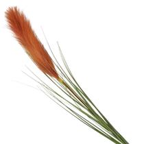 Haste pluma capim dos pampas artificial