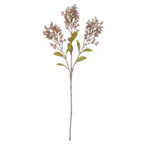 Haste Sementes Com Folhas Salmon 75cm Haste Sementes Com Folhas Salmon 75cm