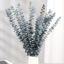 Hastes de eucalipto secas Tavkite 16 peças de 43 cm para decoração de casa