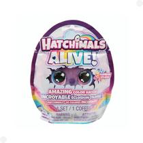 Hatchimals Alive Supresa com Acessório 04000 - Sunny Brinquedos