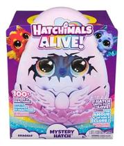 Hatchimals Surpresa Dragão Hatchimals Alive Sunny 4006
