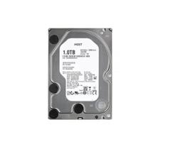HD 1TB RAFF MTBF HGST WD Data Center 24/7 128 Cache 1W10024