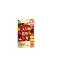 Helichrysum / Sempre-Viva Sortida - 300mg De Sementes Helichrysum / Sempre-Viva Sortida - 300mg De Sementes