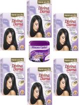 Hene em Po Divina Dama 06x50gr (Incolor, Chocolate, Preto, Azulado, Castanho)+Mascara 500gr Incolor Hene em Po Divina Dama 06x50gr (Incolor, Chocolate, Preto, Azulado, Castanho)+Mascara 500gr Incolor