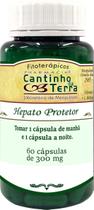Hepato Protetor 60 Capsulas Hepato Protetor 60 Capsulas