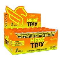 Hepatoprotetor para o Fígado Desintoxicante Hepatrix Colina, Metionina e Vitamina B6 10ml Caixa com 48 Flaconetes Avanti Supplements