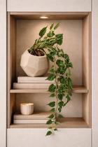 Hera Jiboia Planta Artificial Pendente Com Vaso Moderno para casa e escritório decoração pronta sala aparador