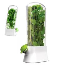 Herbario Conserva Ervas Frescas Geladeira Coentro Salsa Alecrim Hortela Alface Legumes Vegetais Salada Herbario Conserva Ervas Frescas Geladeira Coentro Salsa Alecrim Hortela Alface Legumes Vegetais Salada