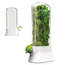 Herbario Recipiente Conservador Ervas Frescas Geladeira Conserva Alface Hortela Coentro Salsa Alecrim Legumes Vegetais Tempero