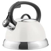 Hervidor de Té Mr. Coffee Flintshire de Acero Inoxidable 1.75L