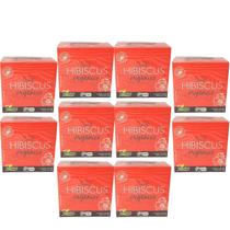 Hibisco Chá Orgânico Natural Kit 10cx (100 Sachês) Campo Verde