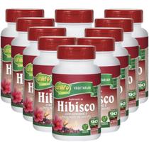 Hibisco com Gengibre 90 comprimidos de 500mg Kit com 10 Frascos Hibisco com Gengibre 90 comprimidos de 500mg Kit com 10 Frascos