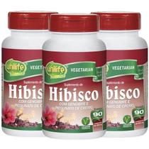 Hibisco com Gengibre 90 comprimidos de 500mg Kit com 3 Frascos