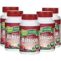 Hibisco com Gengibre 90 comprimidos de 500mg Kit com 5 Frascos Hibisco com Gengibre 90 comprimidos de 500mg Kit com 5 Frascos