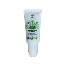 Hidratante Labial De Aloe Vera 15gr Ervas De Gaya