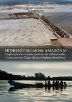 Hidrelétricas na amazônia implicações territoriais