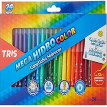 Hidrocor pf mega hidrocolor 24 cor cjto