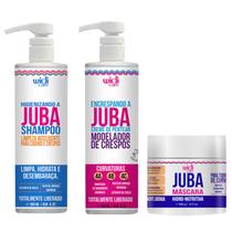 Higienizando a Juba 500ml + Encrespando 500ml + Máscara Hidro-Nutritiva 500g Widi Care