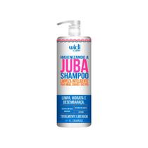 Higienizando a Juba Shampoo 1L - Widi Care