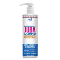 Higienizando A Juba Shampoo 500ml - Widi Care