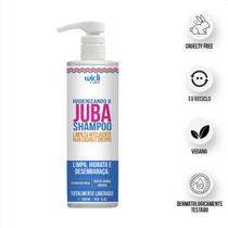Higienizando a Juba Shampoo - 500ML - Widi Care