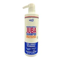 Higienizando a Juba Shampoo Limpeza Inteligente 500ml