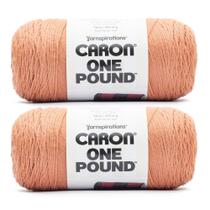 Hilo Caron One Pound Ladrillo Descolorido Paquete de 2 453.6g Acrílico