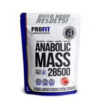 Hipercalórico Anabolic Mass 28500 Pouch 3kg - Profit - Profit Laboratórios