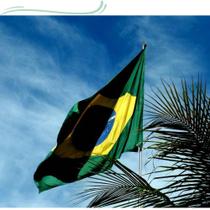 Hoje Bandeira Brasil 3,00x2,00m Tamanho Oficial