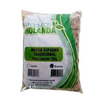 Holanda musgo esfagno tradicional verde 120g