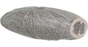 HOME&ampCO PRUNE VASO 20x17x9cm CERÂMICA MARFIM