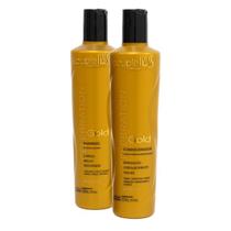 Home Care Shampoo e Condicionador Souple Liss Gold Celebration 2x300ml Home Care Shampoo e Condicionador Souple Liss Gold Celebration 2x300ml