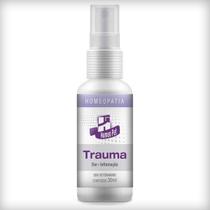Homeopatia Trauma Homeo Pet Real H - 30 mL Homeopatia Trauma Homeo Pet Real H - 30 mL