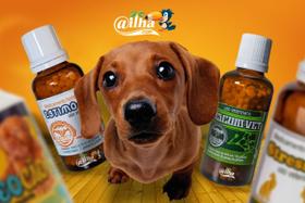 Homeopático Estimo-Vet para tratar diarreias, parvovirose, cinomose e infecções Homeopático Estimo-Vet para tratar diarreias, parvovirose, cinomose e infecções