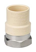 Homewerks Worldwide Transition Fitting 1" FPT CPVC