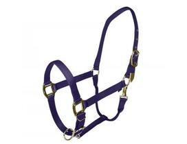 Horse Halter Gatsby Gold ajustável em nylon roxo Horse Halter Gatsby Gold ajustável em nylon roxo