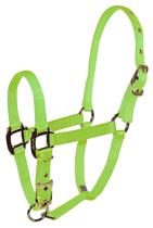 Horse Halter Hamilton para animais de estimação e equinos, nylon, desmame verde limão