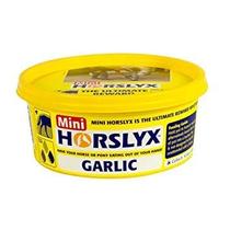 Horslyx Mini Lick Alho Petisco para Cavalo 650 g Horslyx Mini Lick Alho Petisco para Cavalo 650 g