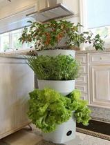 Horta Vertical Auto Irrigável Verde Vida - NÃO ACOMPANHA RODÍZIO cor