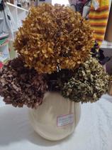 Hortências tingidas Hortências tingidas