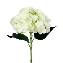 hortensia branca artificial em Promoção no Magazine Luiza