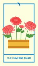 Houseplant Tarot: A 78-Card Deck of Adorable Plants and Succulents for Magical Guidance - Ulisses