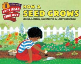 How a seed grows