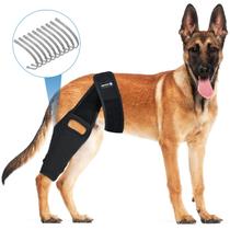 HUAME Dog Knee Brace, Dog Leg Braces para a perna traseira para ACL,