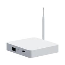 Hub Gateway Smart Home ZigBee Tuya Com Ponte De Malha Com Fio Para Automação Residencial Alexa E