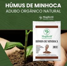 Humus de minhoca adubo orgânico Mogifertil 10kg Humus de minhoca adubo orgânico Mogifertil 10kg