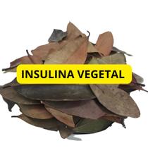 I. Vegetal 100Gr