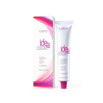 Idea Color 6.13 LOURO ESCURO MATE 60G