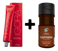 Igora Royal 8-77 (1) + Máscara Pigmentante Capivara (1)